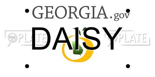 DAISY Georgia License Plate