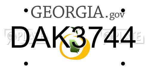 DAK3744 Georgia License Plate