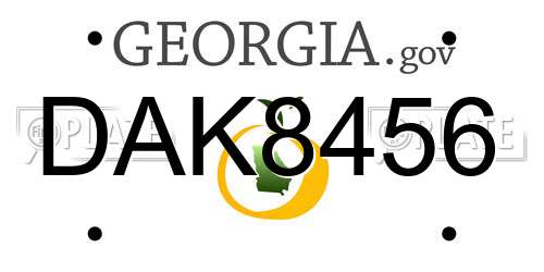 DAK8456 Georgia License Plate