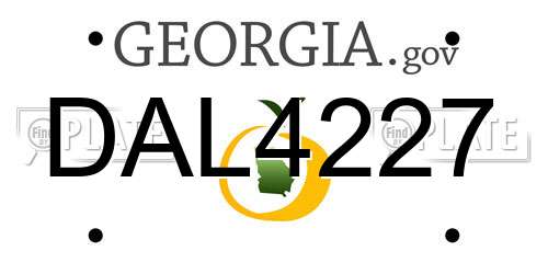 DAL4227 Georgia License Plate