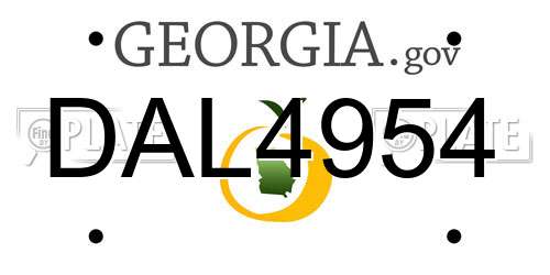 DAL4954 Georgia License Plate