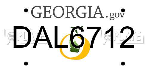DAL6712 Georgia License Plate
