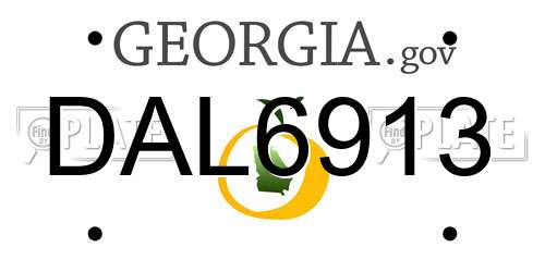 DAL6913 Georgia License Plate
