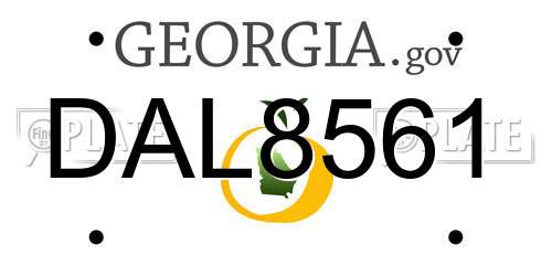 DAL8561 Georgia License Plate
