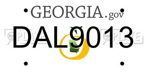 DAL9013 Georgia License Plate