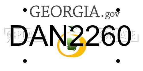 DAN2260 Georgia License Plate