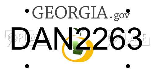 DAN2263 Georgia License Plate