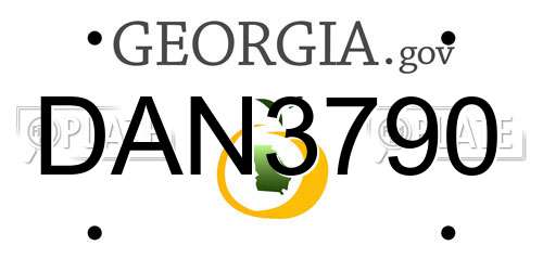 DAN3790 Georgia License Plate