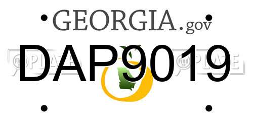 DAP9019 Georgia License Plate