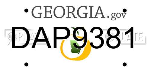 DAP9381 Georgia License Plate