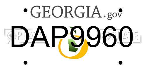 DAP9960 Georgia License Plate