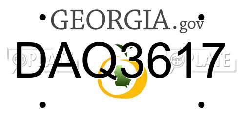 DAQ3617 Georgia License Plate