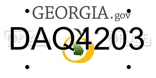 DAQ4203 Georgia License Plate