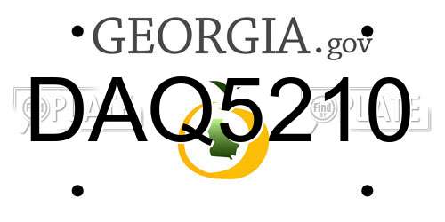 DAQ5210 Georgia License Plate