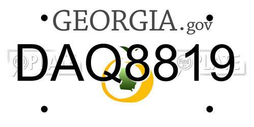 DAQ8819 Georgia License Plate
