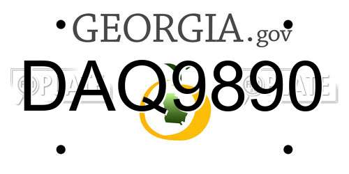 DAQ9890 Georgia License Plate