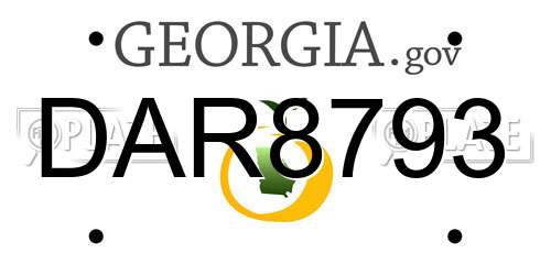 DAR8793 Georgia License Plate
