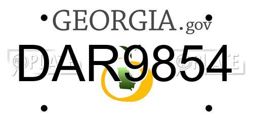 DAR9854 Georgia License Plate