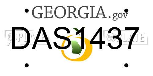 DAS1437 Georgia License Plate