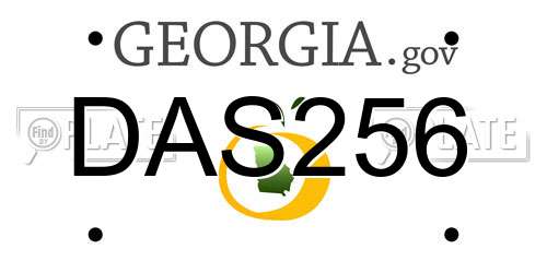 DAS256 Georgia License Plate