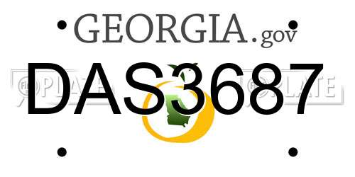 DAS3687 Georgia License Plate