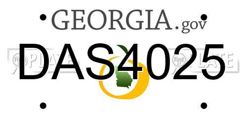 DAS4025 Georgia License Plate