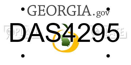 DAS4295 Georgia License Plate