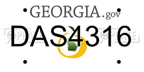 DAS4316 Georgia License Plate
