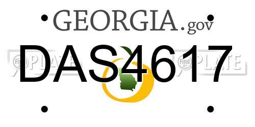 DAS4617 Georgia License Plate