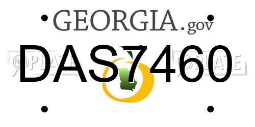 DAS7460 Georgia License Plate
