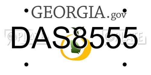DAS8555 Georgia License Plate