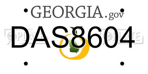 DAS8604 Georgia License Plate