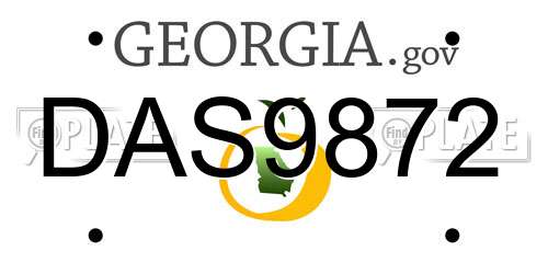 DAS9872 Georgia License Plate