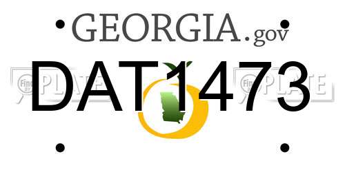 DAT1473 Georgia License Plate