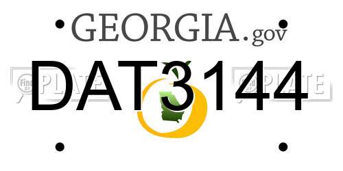DAT3144 Georgia License Plate
