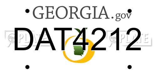 DAT4212 Georgia License Plate