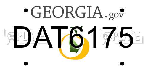 DAT6175 Georgia License Plate