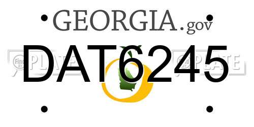 DAT6245 Georgia License Plate