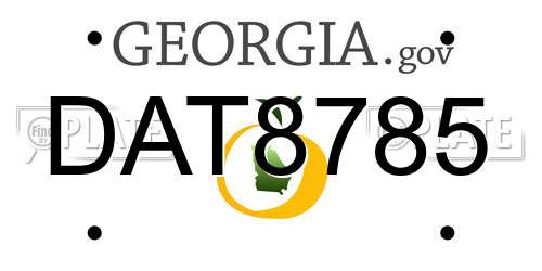 DAT8785 Georgia License Plate