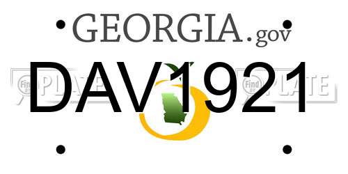 DAV1921 Georgia License Plate