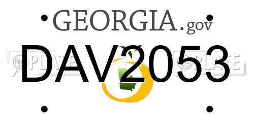 DAV2053 Georgia License Plate