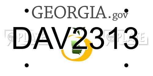 DAV2313 Georgia License Plate