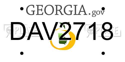 DAV2718 Georgia License Plate
