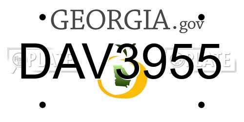 DAV3955 Georgia License Plate