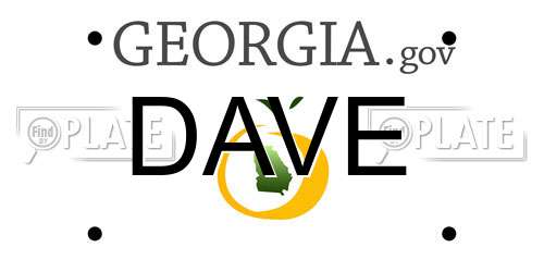 DAVE Georgia License Plate