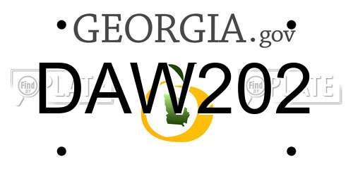 DAW202 Georgia License Plate