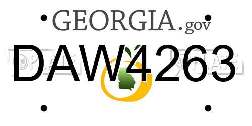 DAW4263 Georgia License Plate