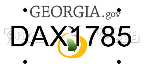DAX1785 Georgia License Plate