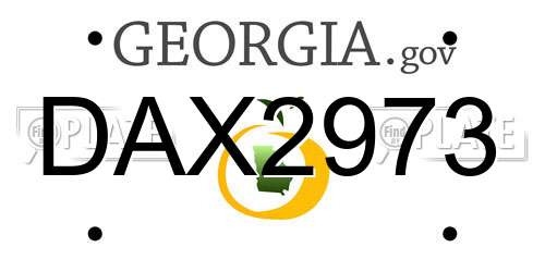 DAX2973 Georgia License Plate