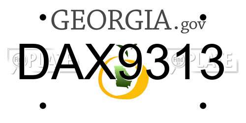 DAX9313 Georgia License Plate